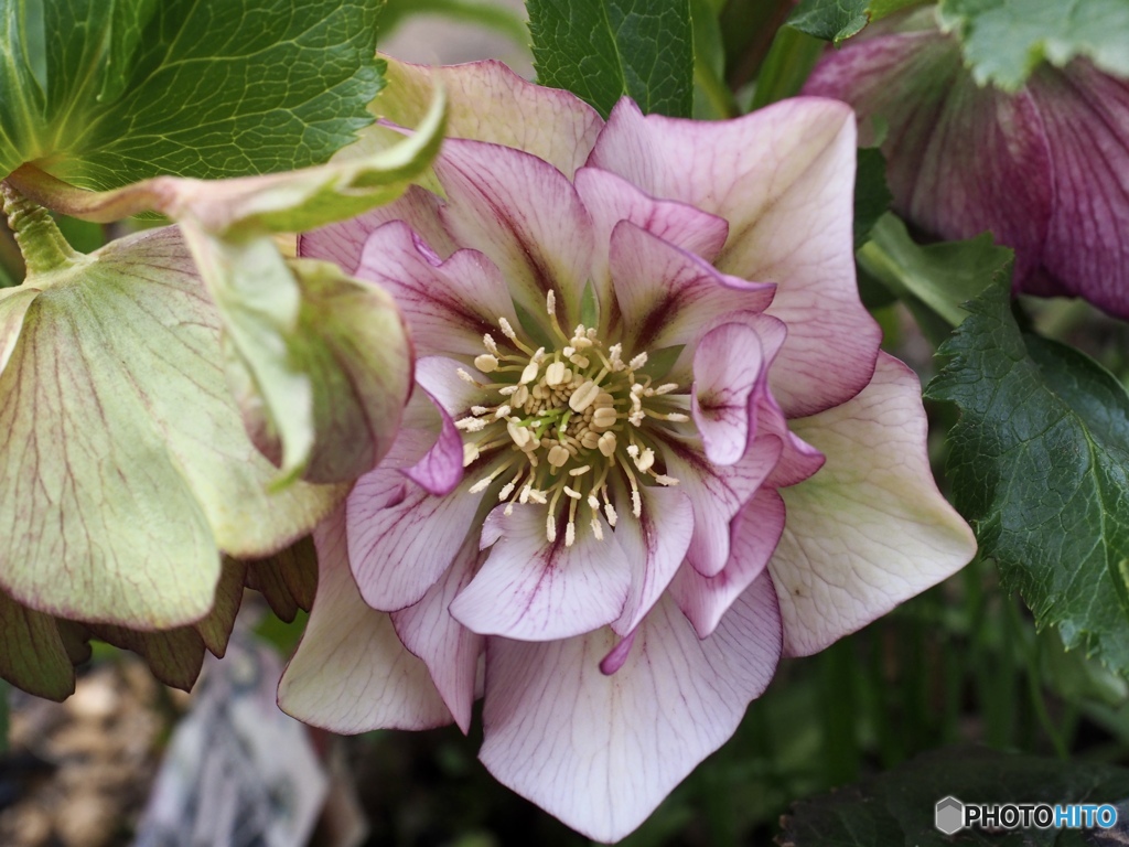 地面の上の17:00