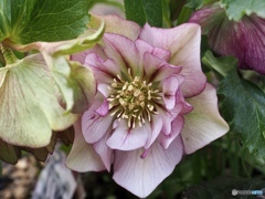 地面の上の17:00