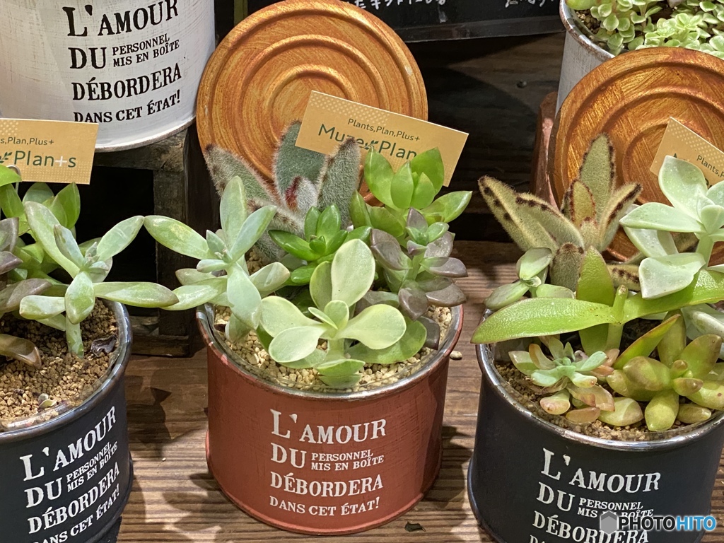 並んでならんで