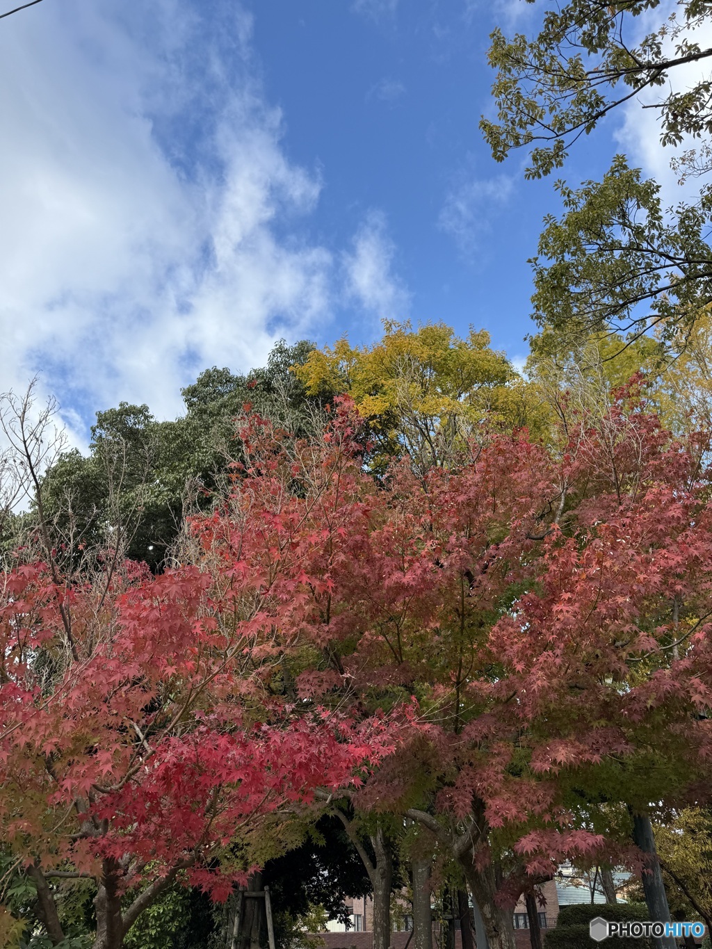 今朝の空
