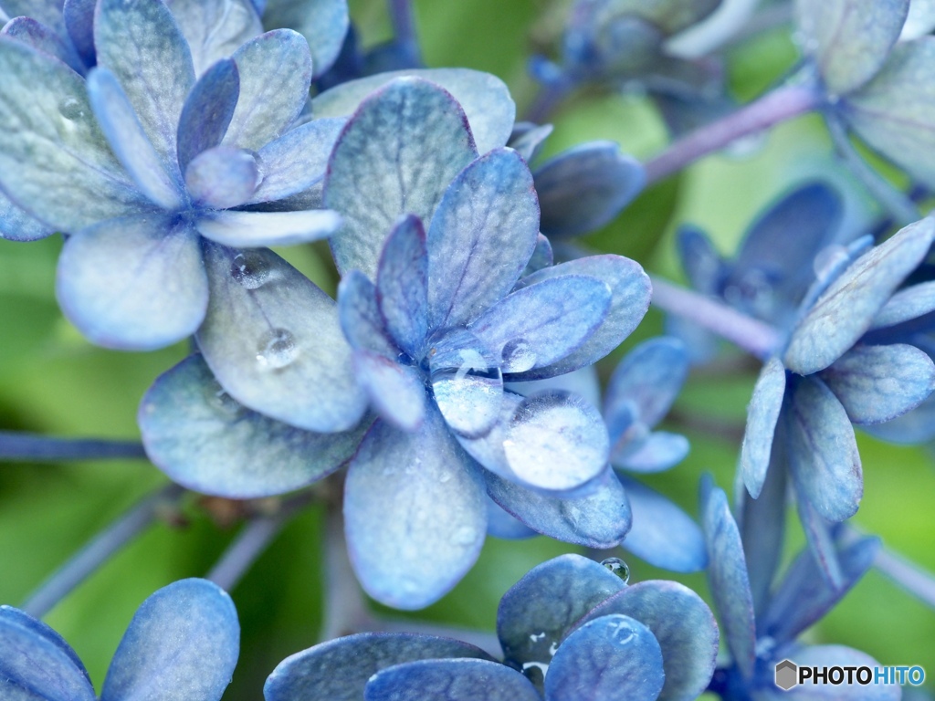 泣いてなんていないさ