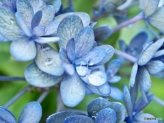 泣いてなんていないさ