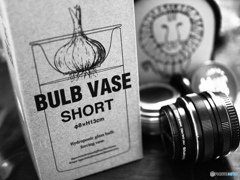 好きのちょっと先にあるもの