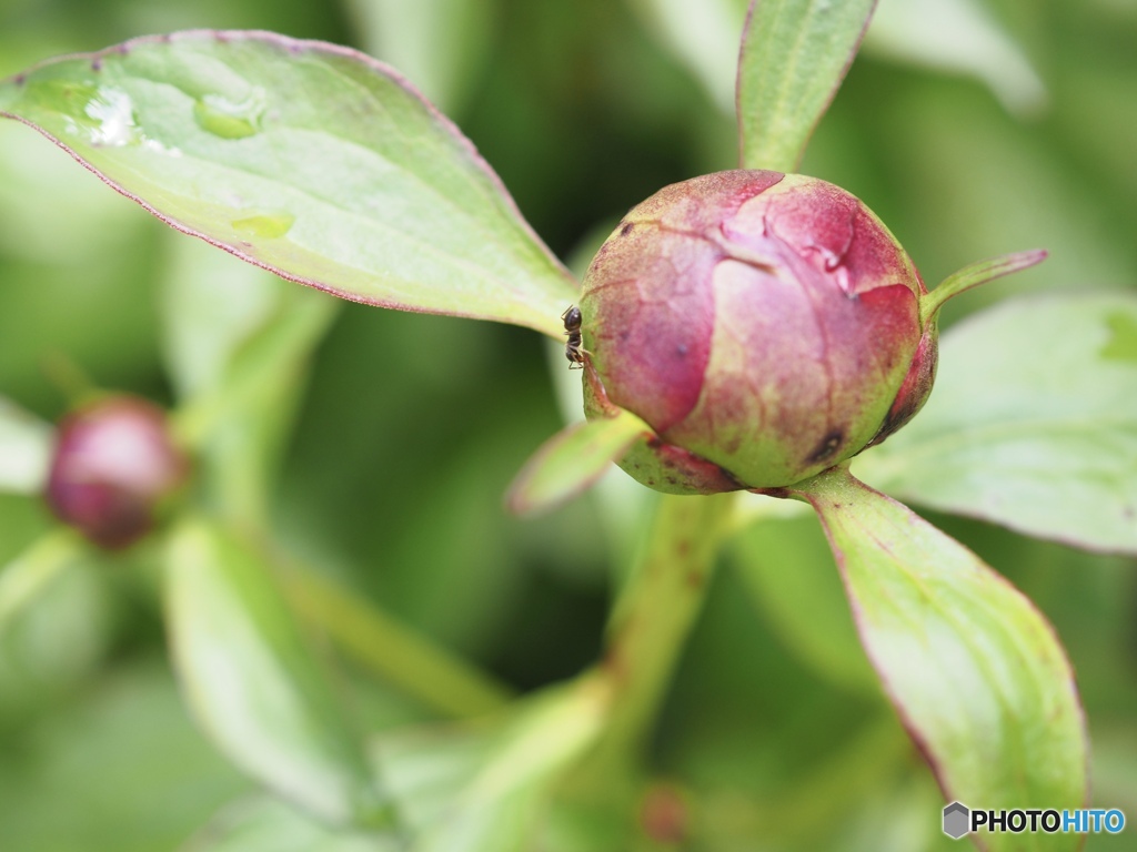 朝からボクらは忙しい