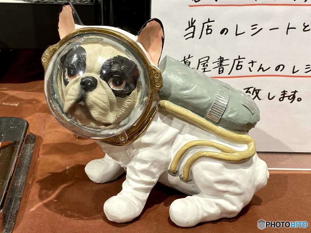 お勘定はこちらです〜