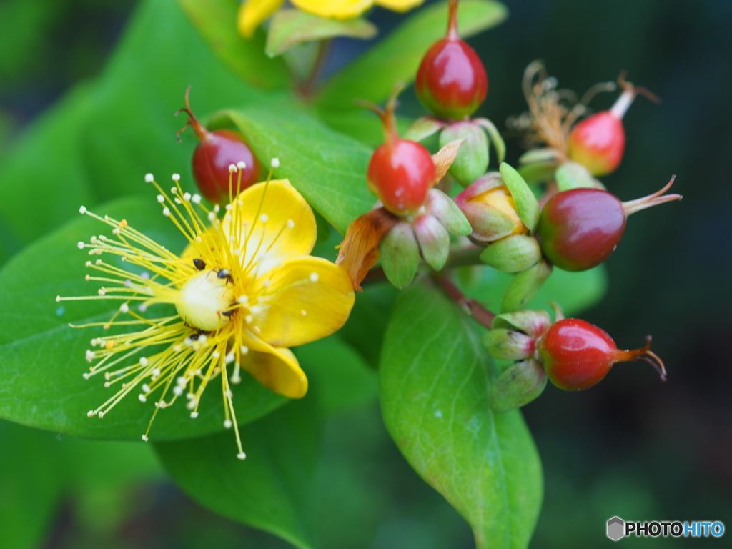 早く仕事を終わらせようよ