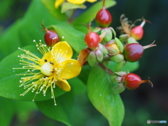 早く仕事を終わらせようよ