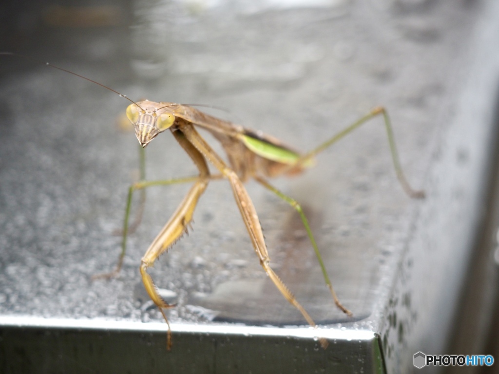 長生きしてよね