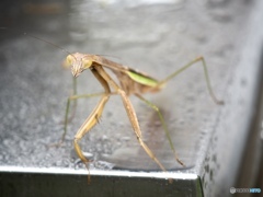 長生きしてよね