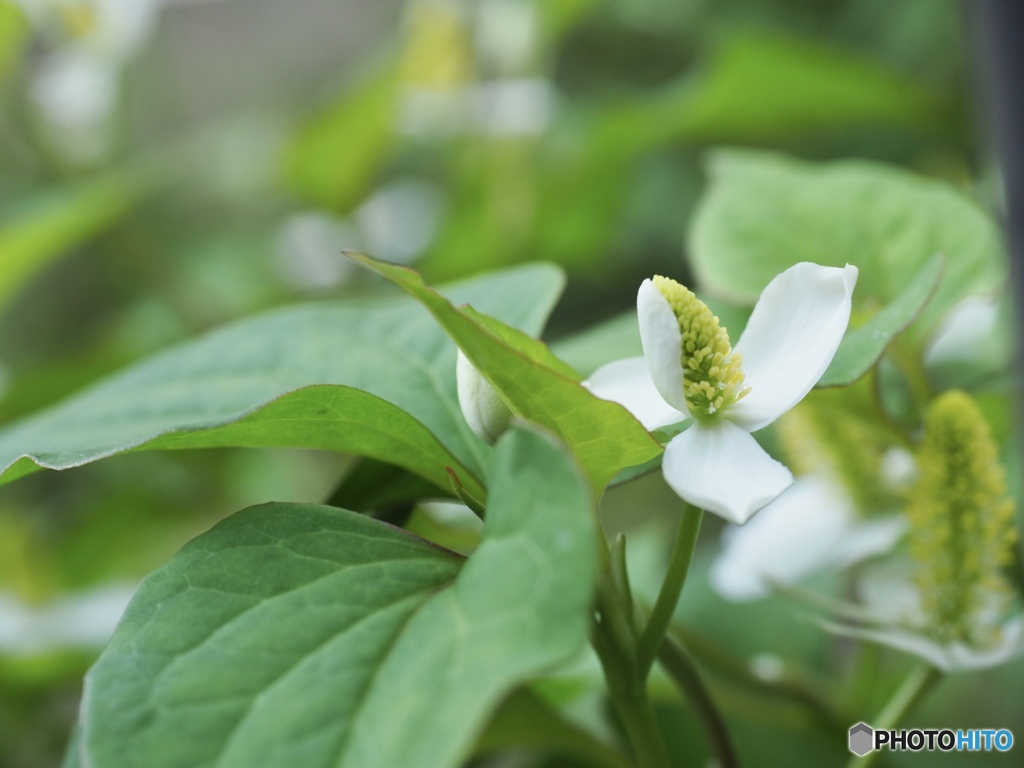 昨日、わたしはキミと格闘し続けた