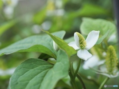 昨日、わたしはキミと格闘し続けた