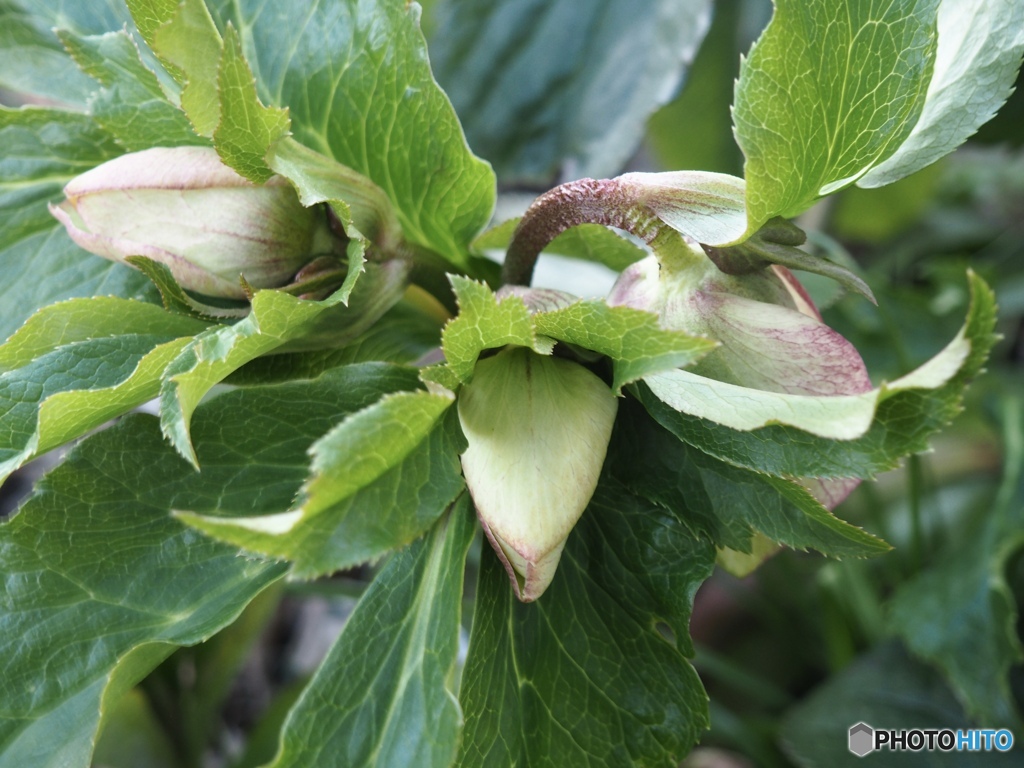 地面の上の16:53