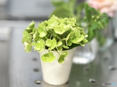 来年までサヨナラ…