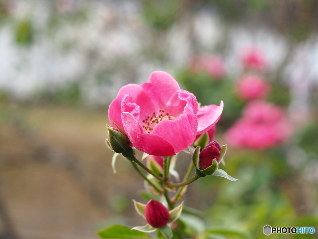 雨が降るって言ってたんだよ…