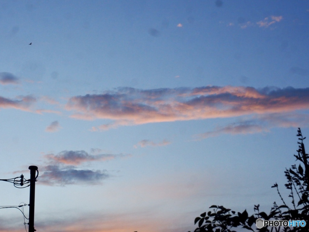 夏雲・秋刀魚