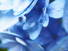 水滴に魅せられて