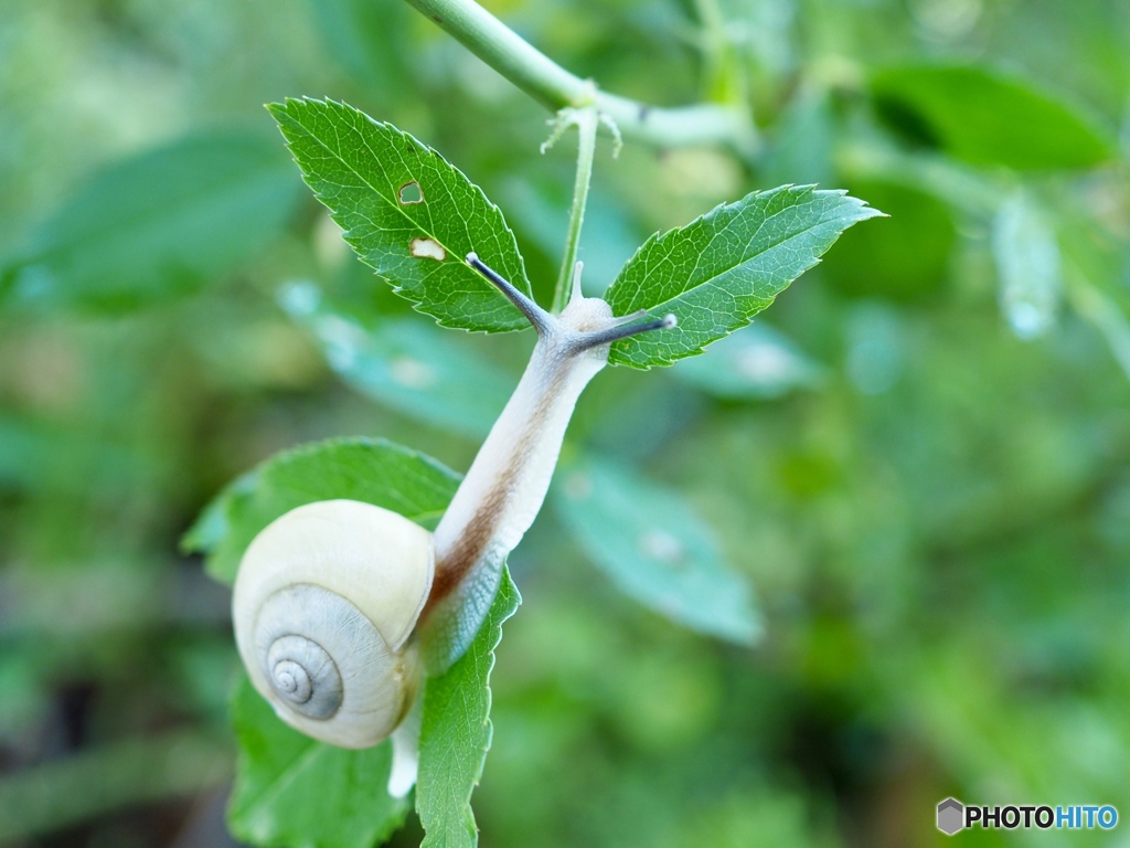 今日も暑くなりそうだね…