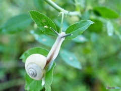 今日も暑くなりそうだね…