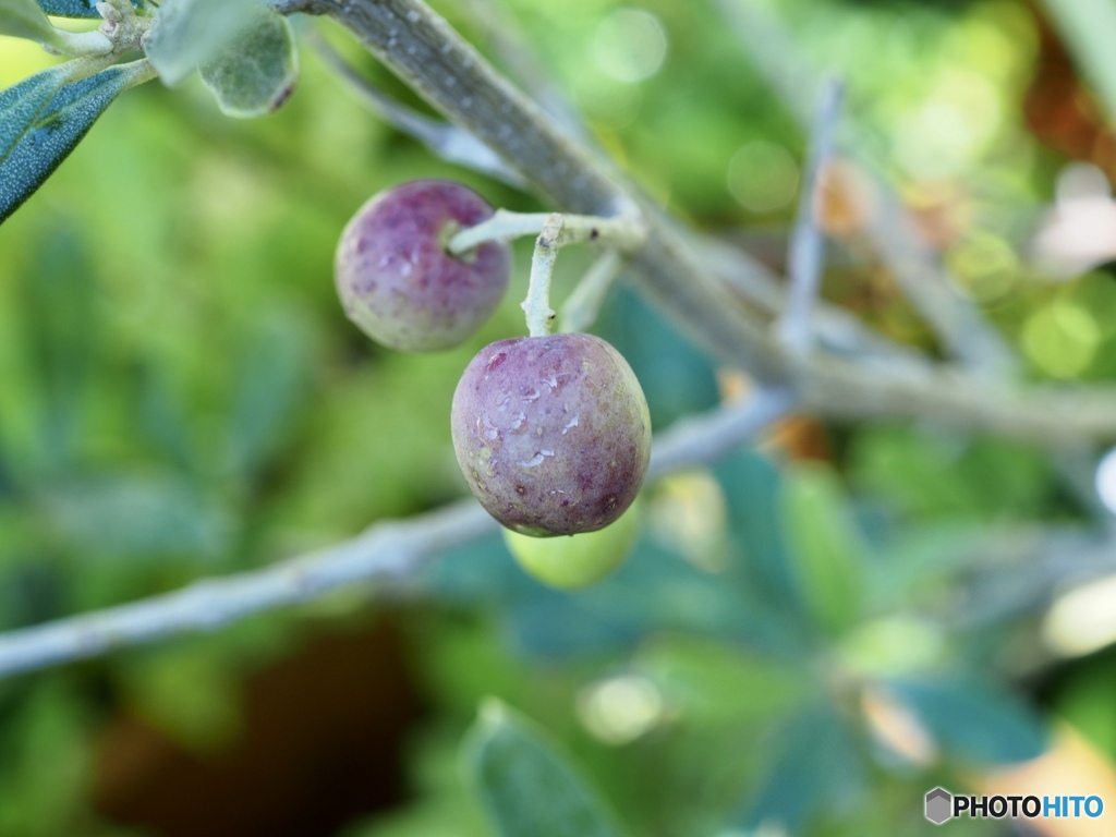 少しずつ少しずつ…