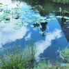 北の大地から ④  池の中の写り込み