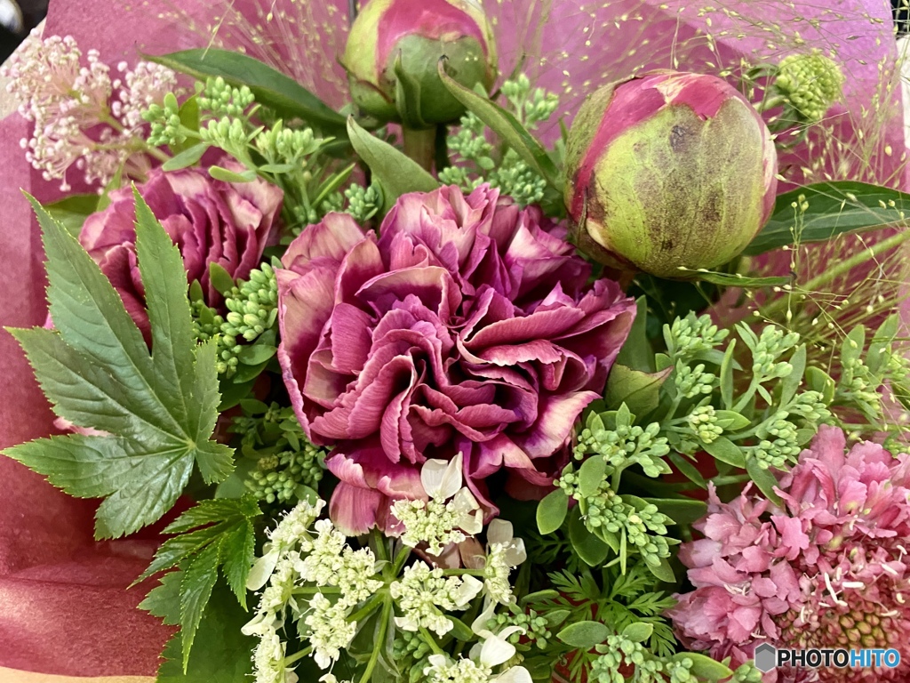 violet  pink