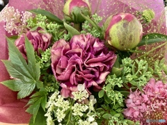 violet  pink
