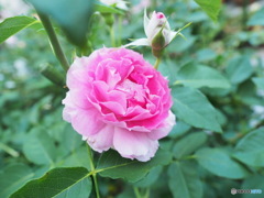 ５月22日