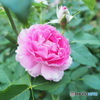 ５月22日