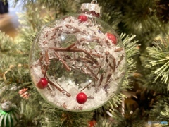 硝子の中のセカイ