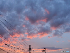 明日も晴れるよ
