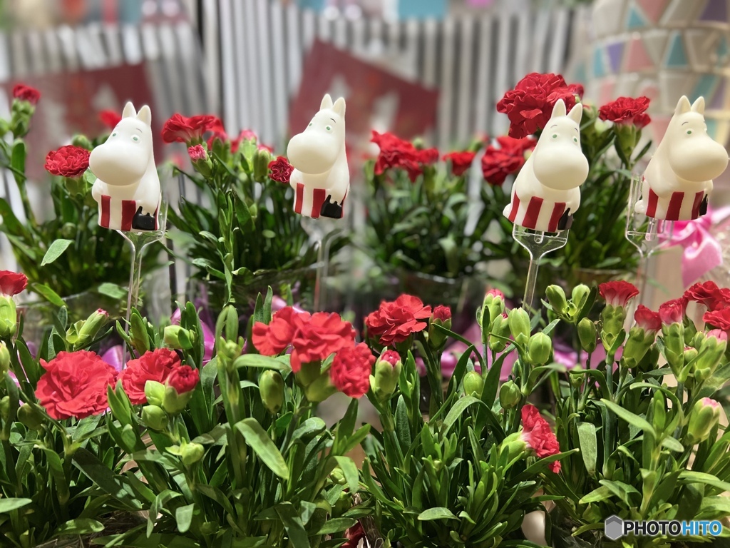 ムーミンママとカーネーション