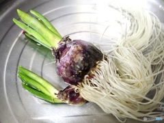 お疲れ様と言って土に植えました