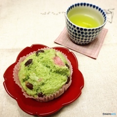 春だなぁ…