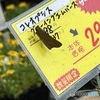 お安くなってますよ…如何ですか？
