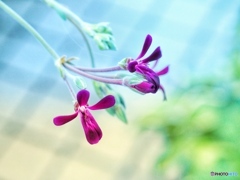 Have a nice day