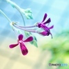 Have a nice day