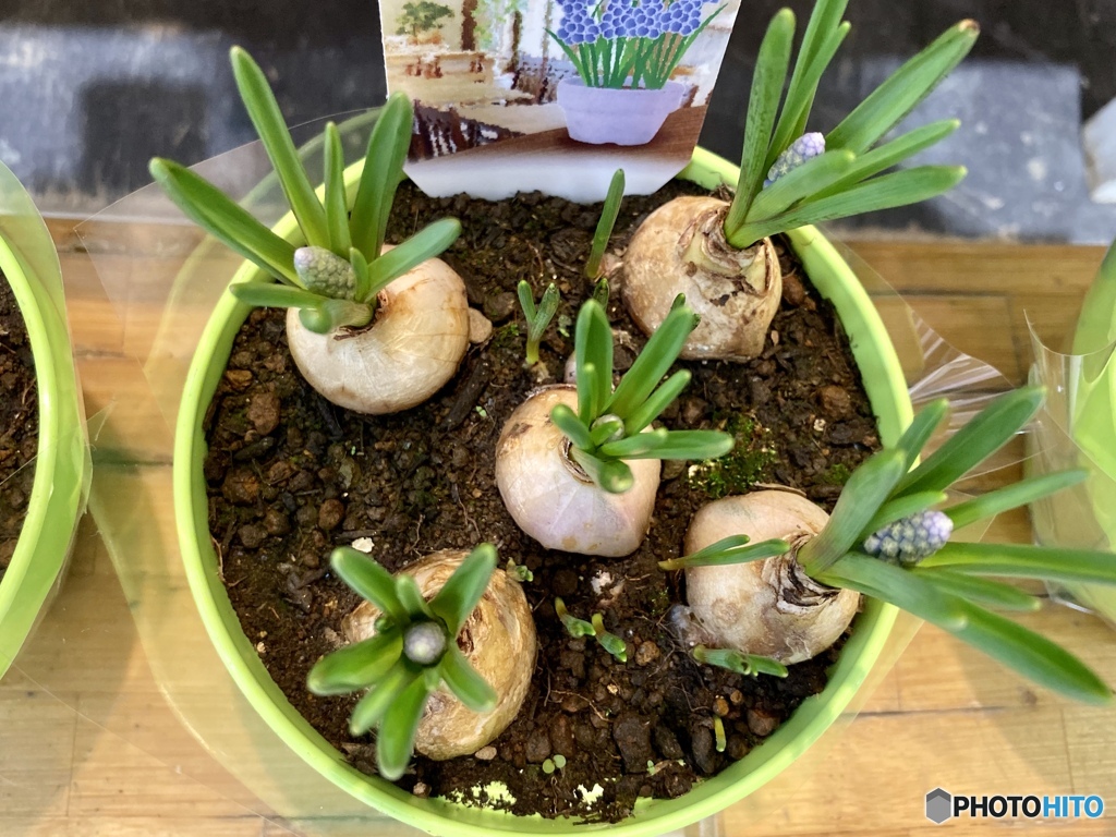 ひと足お先に夢から覚めて