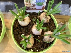 ひと足お先に夢から覚めて