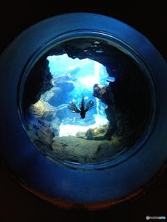 blue 2