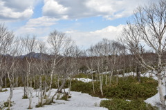 裏摩周展望台山側