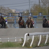 ばんえい競馬