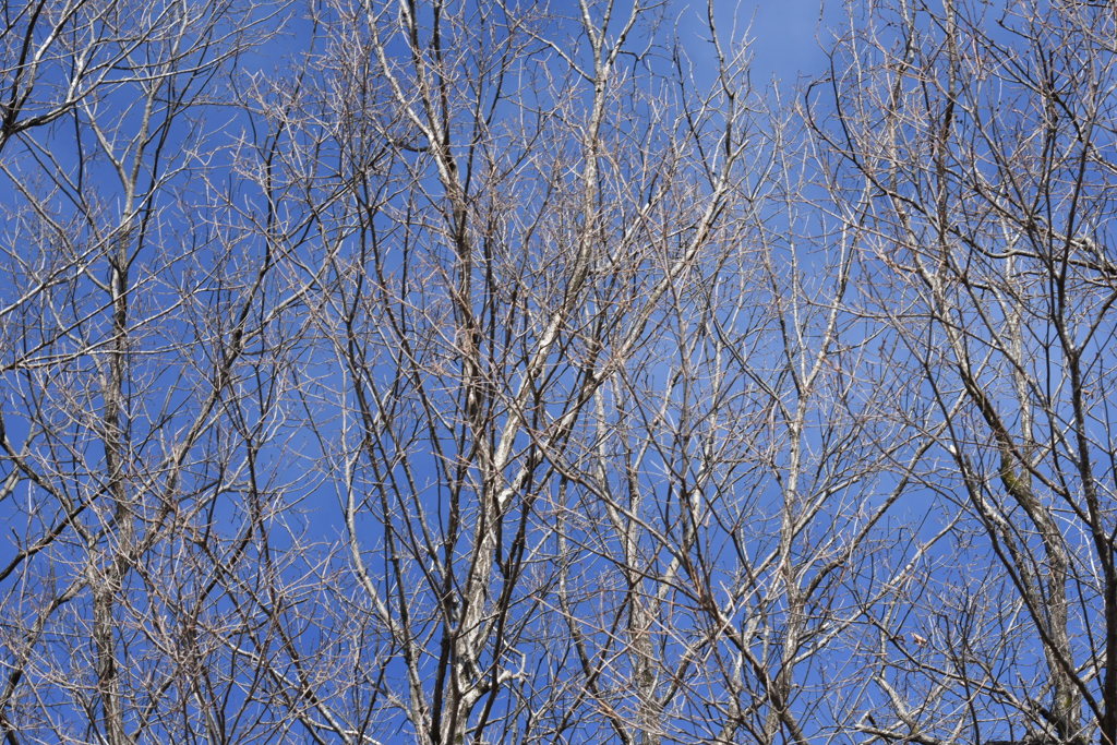 青空