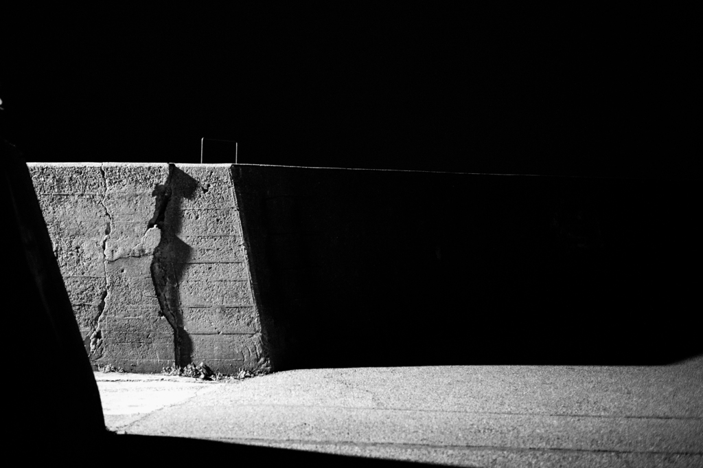 Sexy Shadow