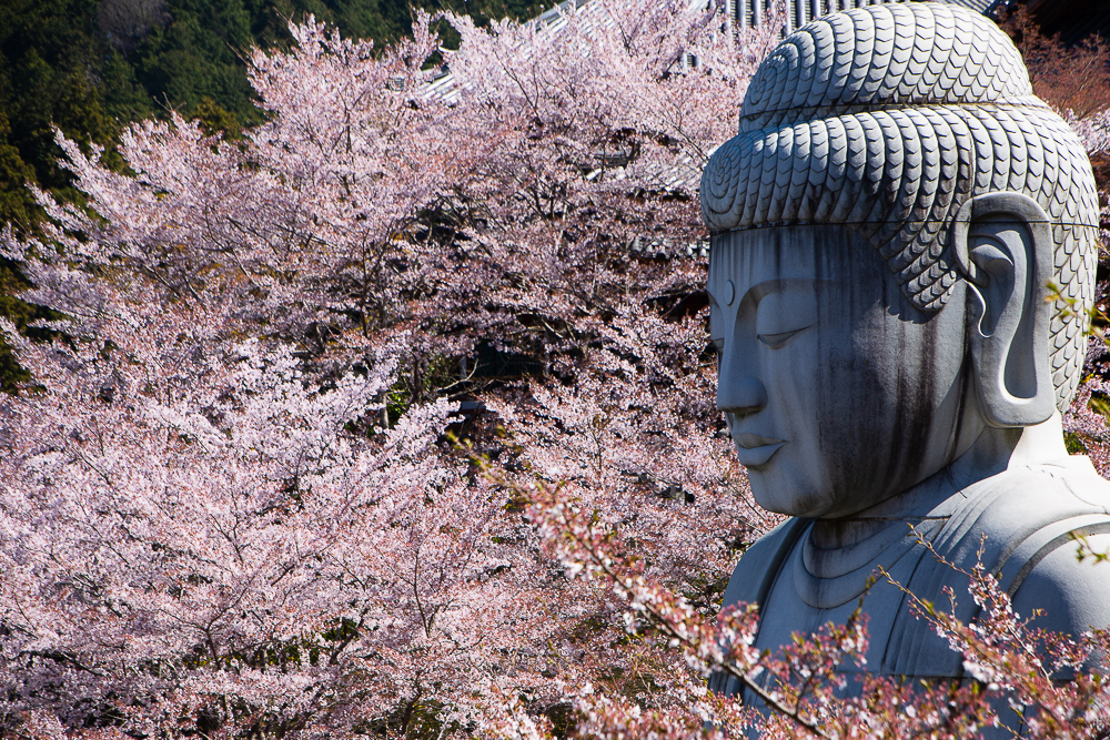 春色につつまれて