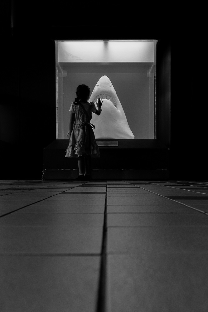 ジョーズと少女