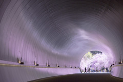 SAKURA Tunnel