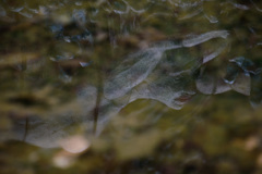 虹の泉20