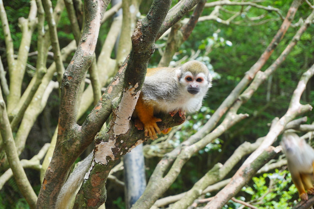 長崎バイオパークにて