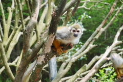 長崎バイオパークにて