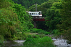 緑の隙間から。。